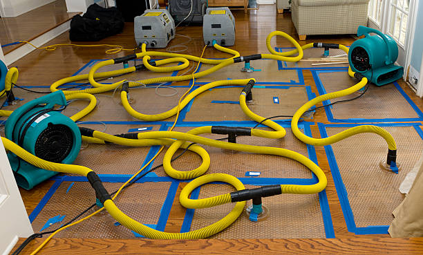 Professional Sewage Cleanup technician working in Crooksville, OH